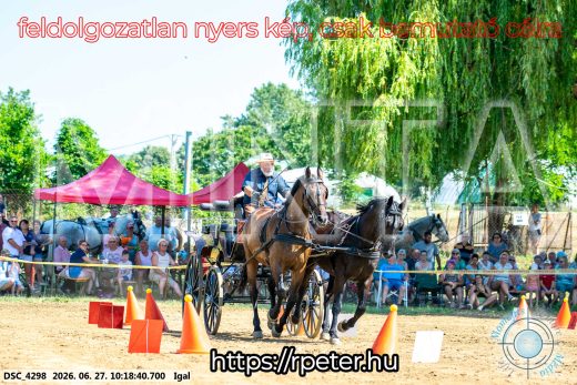 Mintakép 20260627-2765