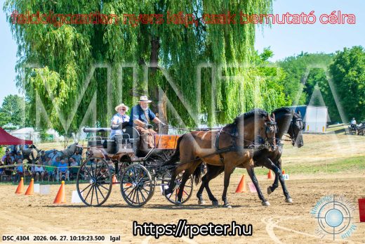 Mintakép 20260627-2768