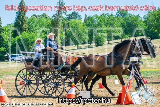 Mintakép 20260627-2769
