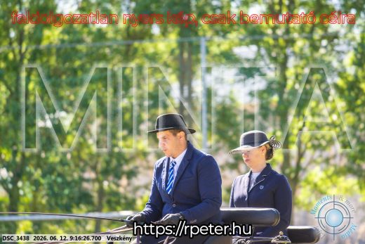 Mintakép 20260612-142