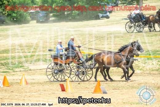 Mintakép 20260627-2771