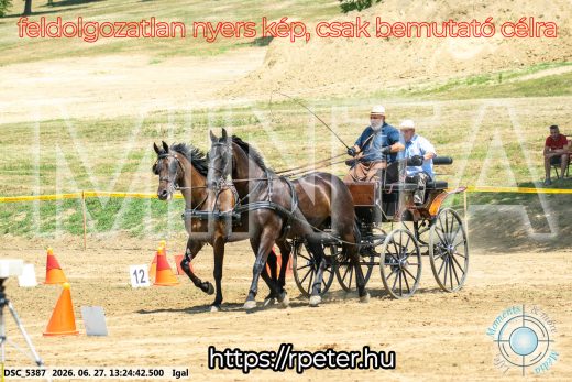 Mintakép 20260627-2774