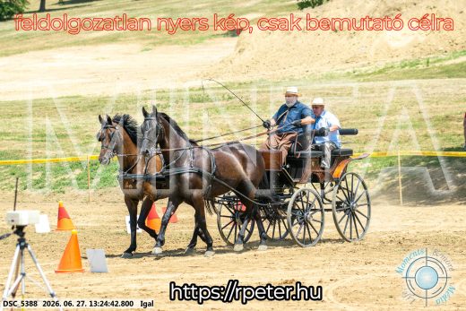 Mintakép 20260627-2775