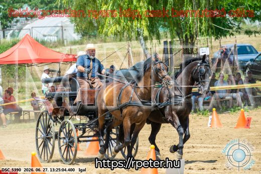 Mintakép 20260627-2777