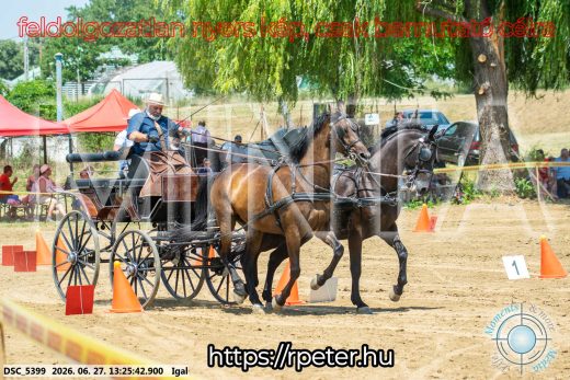 Mintakép 20260627-2780