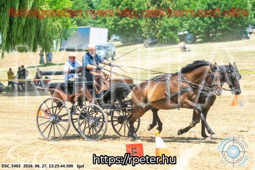 Mintakép 20260627-2781