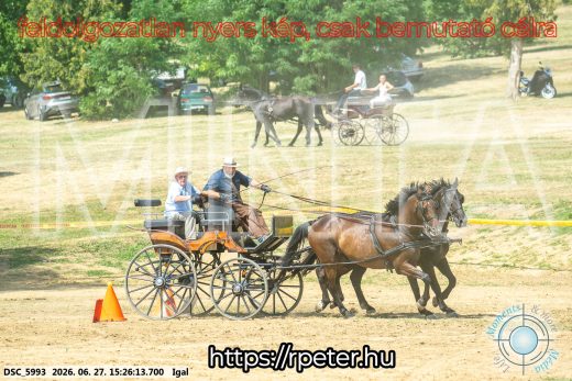 Mintakép 20260627-2785