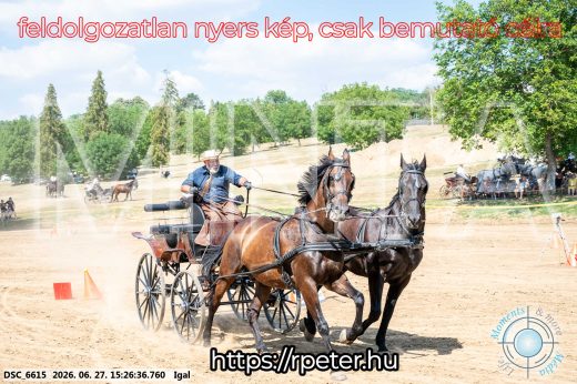 Mintakép 20260627-2789