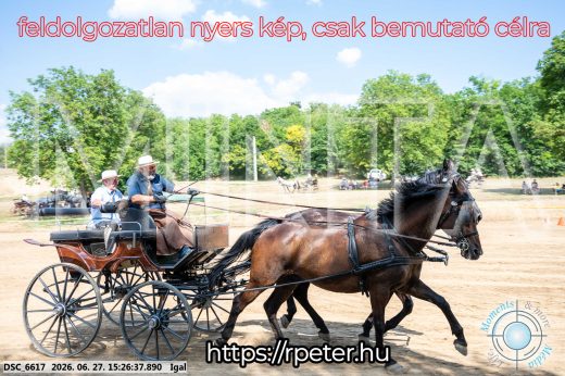 Mintakép 20260627-2791