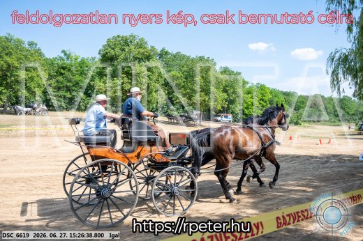 Mintakép 20260627-2792