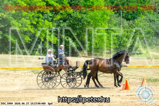 Mintakép 20260627-2794
