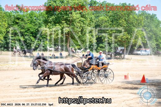 Mintakép 20260627-2796