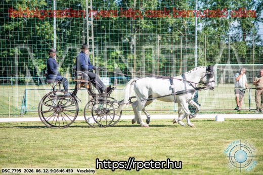 Mintakép 20260612-147