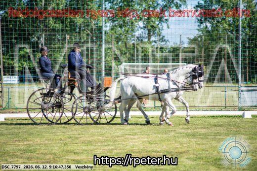 Mintakép 20260612-149