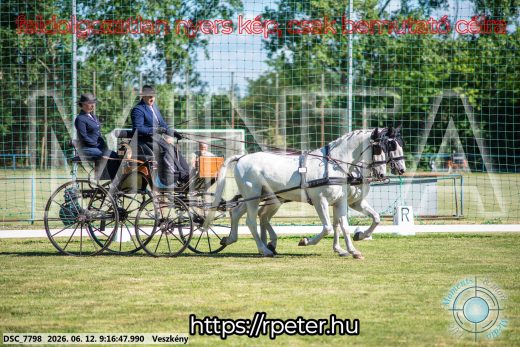 Mintakép 20260612-150