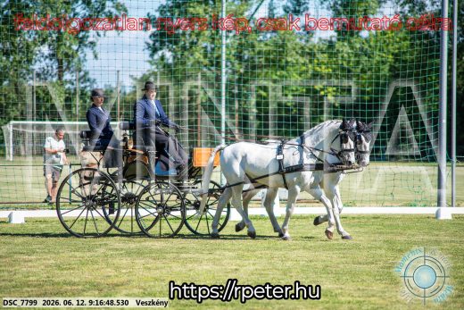 Mintakép 20260612-151