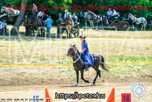 Mintakép 20260627-2806