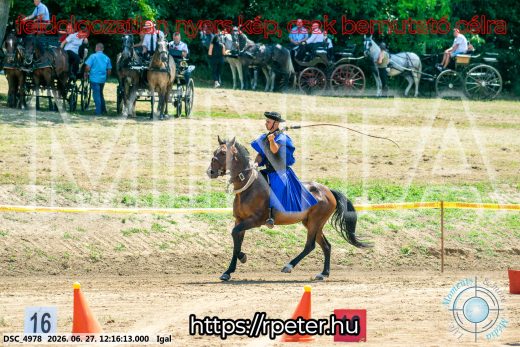 Mintakép 20260627-2808