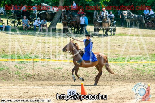 Mintakép 20260627-2811