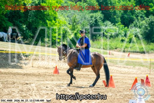 Mintakép 20260627-2827