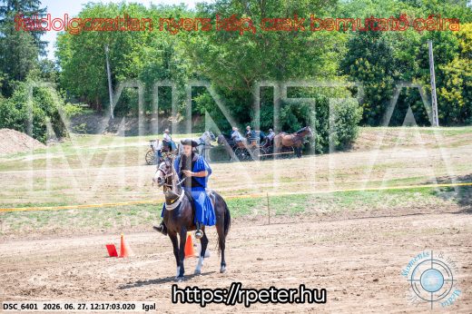 Mintakép 20260627-2828