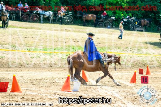 Mintakép 20260627-2829