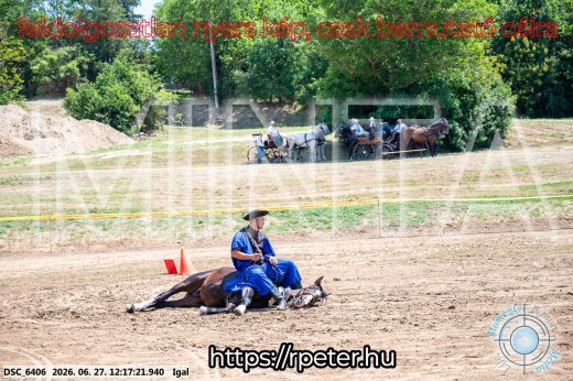 Mintakép 20260627-2840