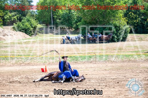 Mintakép 20260627-2842