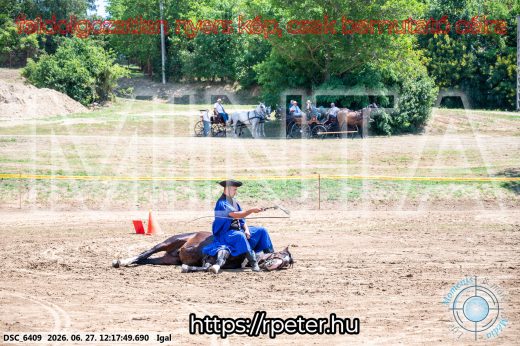 Mintakép 20260627-2845