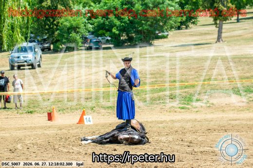 Mintakép 20260627-2853