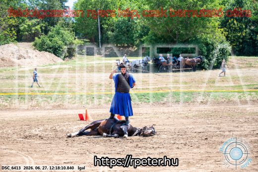 Mintakép 20260627-2856