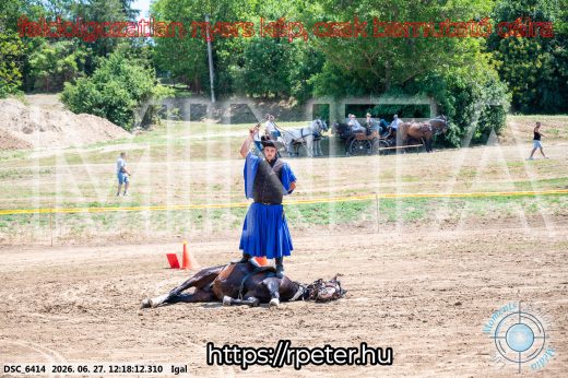 Mintakép 20260627-2858