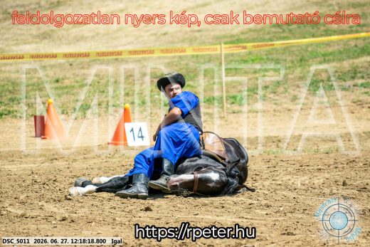 Mintakép 20260627-2861