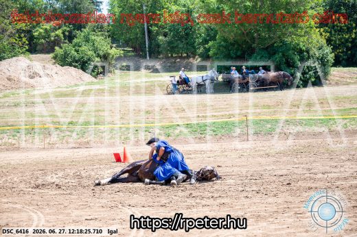 Mintakép 20260627-2863