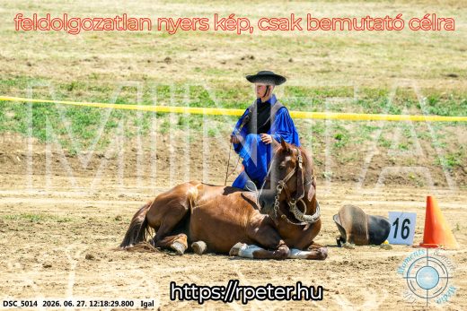 Mintakép 20260627-2866