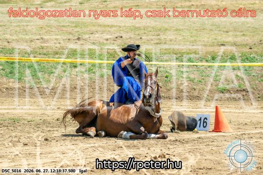 Mintakép 20260627-2868