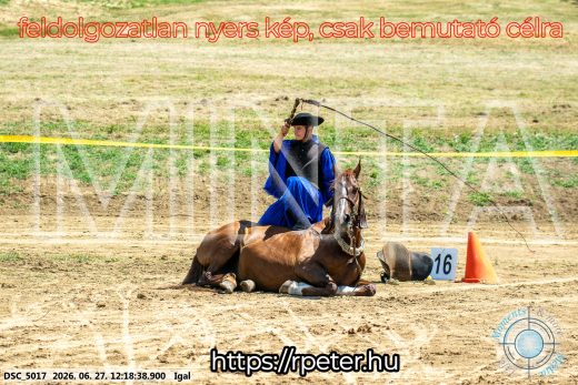 Mintakép 20260627-2869