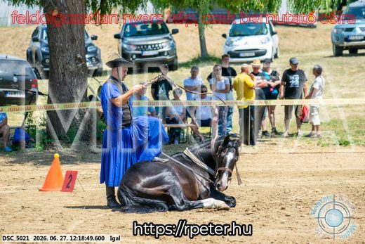 Mintakép 20260627-2873