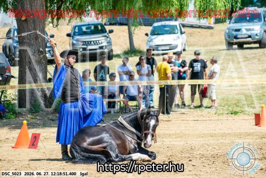 Mintakép 20260627-2875