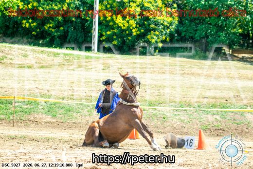 Mintakép 20260627-2878