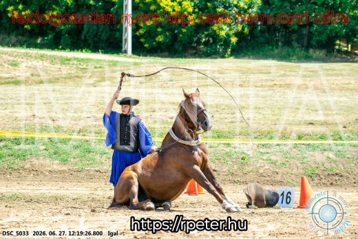 Mintakép 20260627-2884