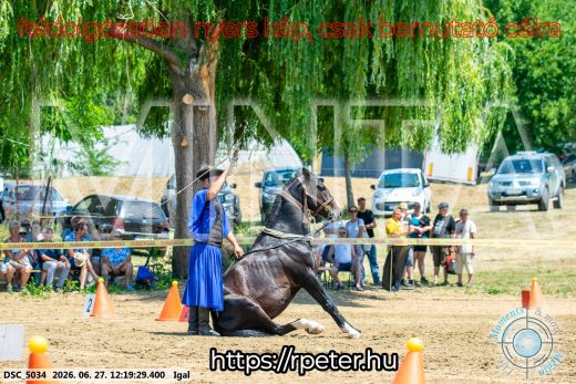 Mintakép 20260627-2885