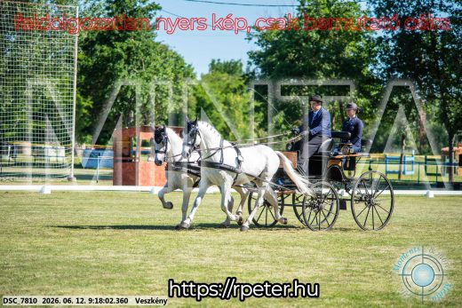 Mintakép 20260612-163