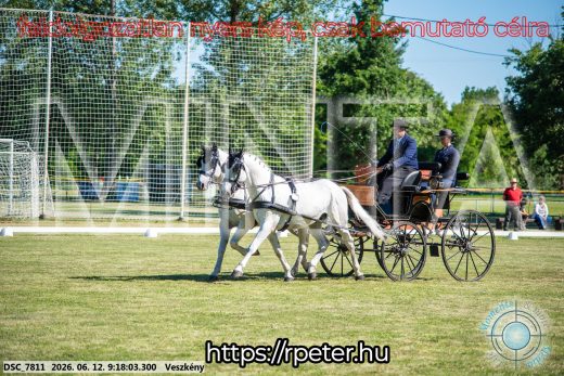 Mintakép 20260612-164