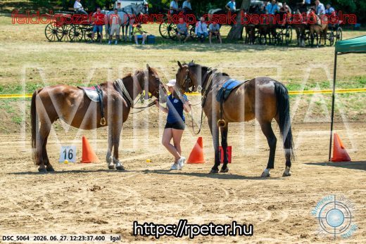 Mintakép 20260627-2930