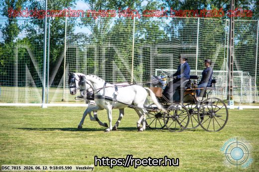 Mintakép 20260612-168
