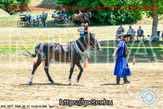 Mintakép 20260627-2949