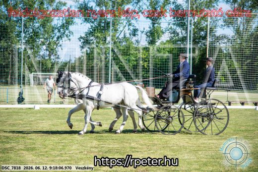 Mintakép 20260612-171