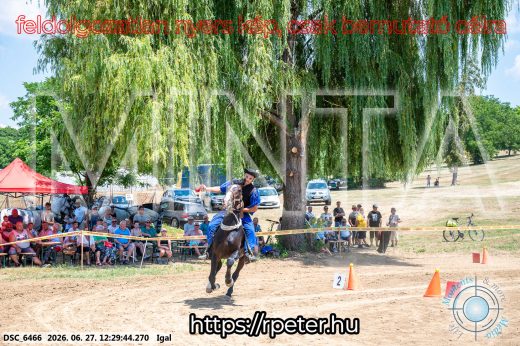 Mintakép 20260627-2985