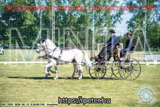 Mintakép 20260612-173